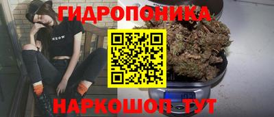 стафф Можга