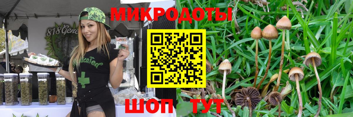 Псилоцибиновые грибы Psilocybine cubensis  Вход с VPN  Татарск 